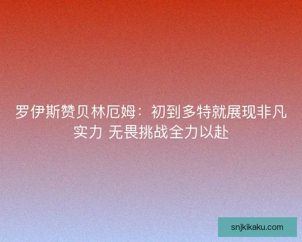 罗伊斯赞贝林厄姆:初到多特就展现非凡实力 无畏挑战全力以赴 罗伊斯赞贝林厄姆:初到多特就展现非凡实力 无畏挑战全力以赴