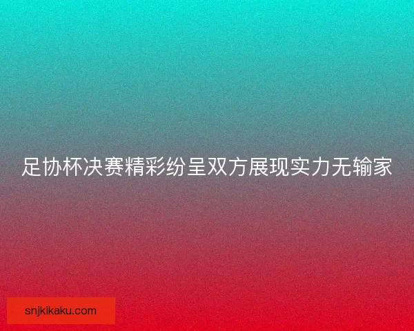足协杯决赛精彩纷呈双方展现实力无输家 足协杯决赛精彩纷呈双方展现实力无输家
